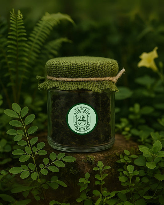 Welcome to Beyond Herba: Where Nature Heals First