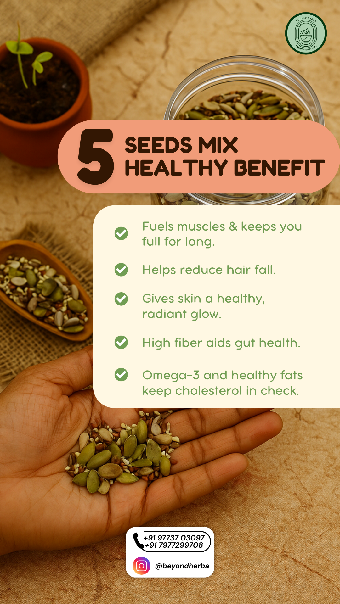 Seed Mix